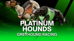 PlatinumHounds