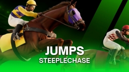 SteepleChase